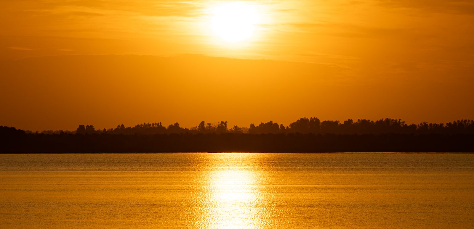 Natureza — fotografia 5